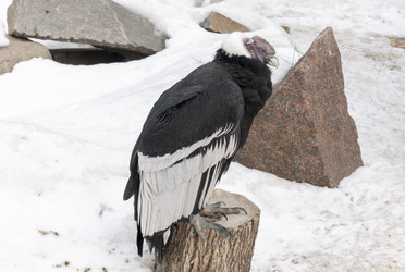 Similar image 21770648