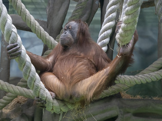 Similar image 21770649