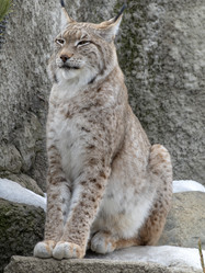 Similar image 21770650