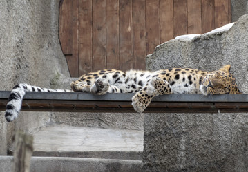 Similar image 21770652