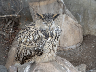 Similar image 21770834