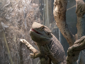 Similar image 21770838