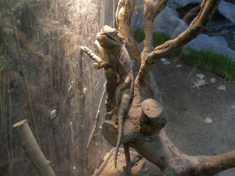 Similar image 21770839