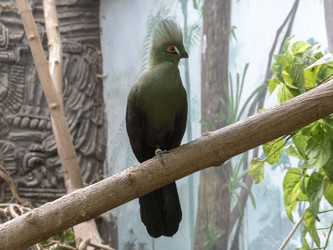 Similar image 21771078