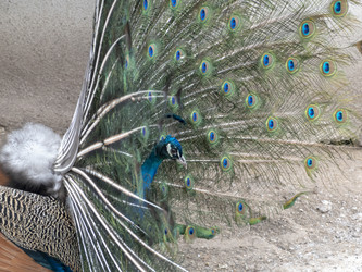 Similar image 21771081