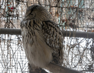 Similar image 21771084