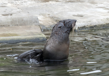 Similar image 21771085