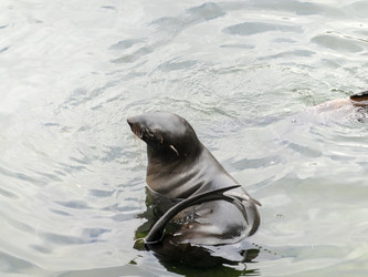 Similar image 21771089