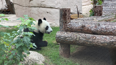 Similar image 21771090