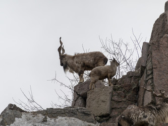 Similar image 21771091