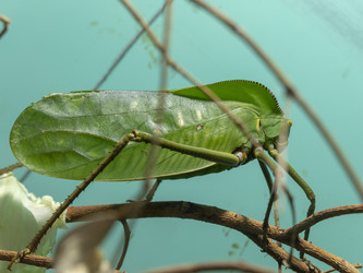 Similar image 21771092