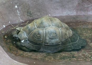 Similar image 21771321