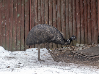 Similar image 21771322