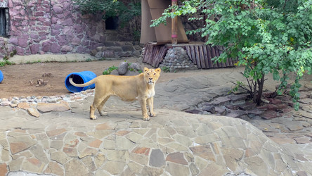 Similar image 21771323