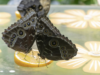 Similar image 21771324