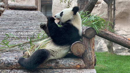 Similar image 21771325