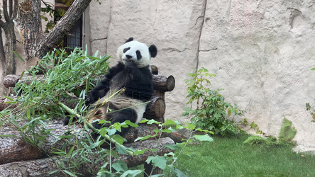 Similar image 21771327