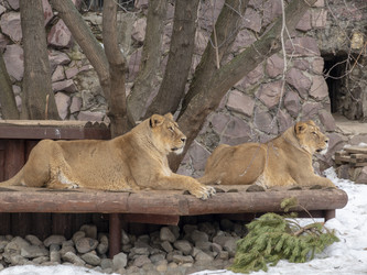 Similar image 21771328