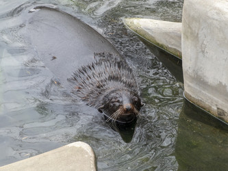 Similar image 21771329