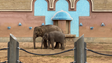 Similar image 21771330