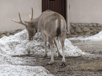 Similar image 21771332