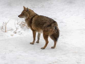 Similar image 21771334