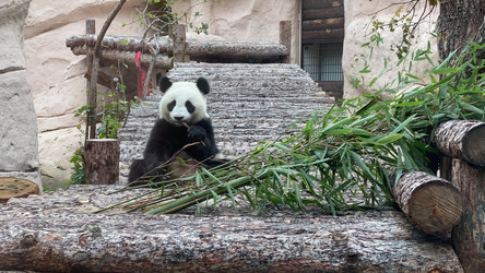 Similar image 21771337