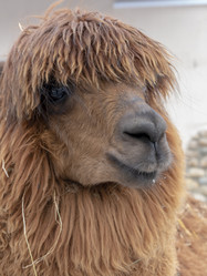 Similar image 21771338