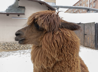 Similar image 21771339