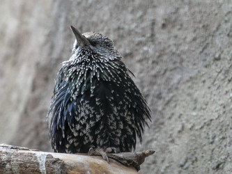 Similar image 21771340