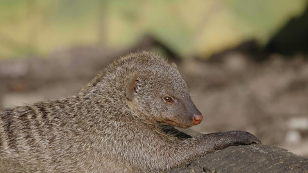 Similar image 21769944