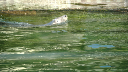 Similar image 21770274