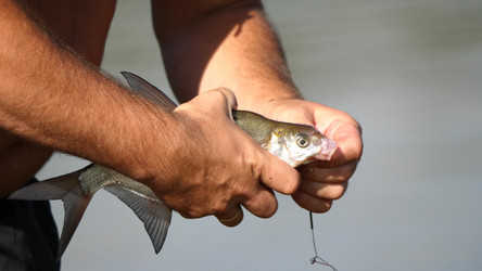 Similar image 21770275