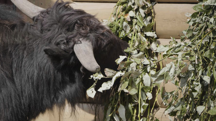 Similar image 21770276