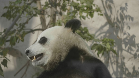 Similar image 21770277