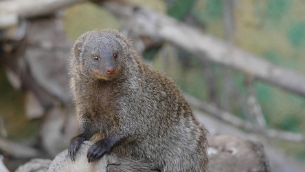 Similar image 21770462