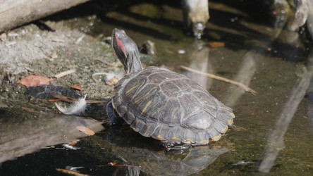 Similar image 21770654