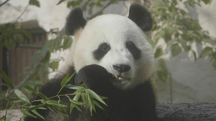 Similar image 21770657