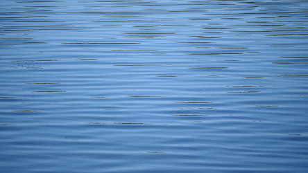 Similar image 21770659