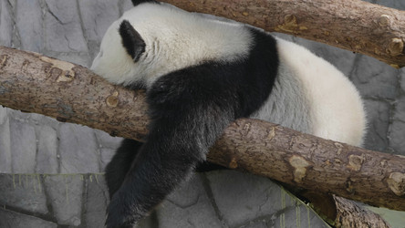 Similar image 21770660