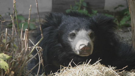 Similar image 21770662