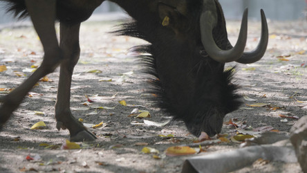 Similar image 21770664