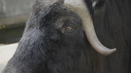 Similar image 21770666