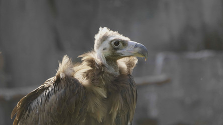 Similar image 21770843