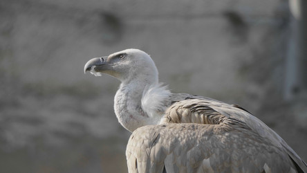 Similar image 21770844