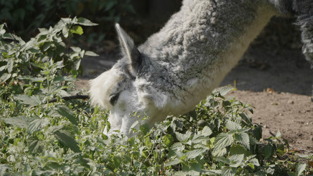 Similar image 21770845