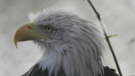 Similar image 21770846