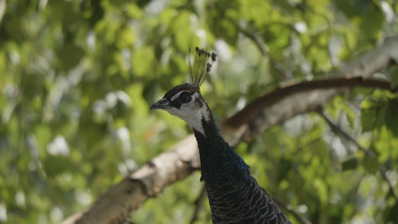 Similar image 21770848