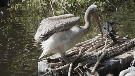 Similar image 21770851