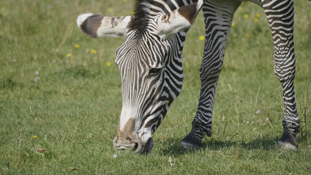 Similar image 21771095